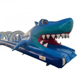 Ventriglisse Requin