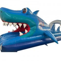 Achat Ventriglisse Requin