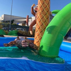 Circuit Aquatique pour Petits Bateaux