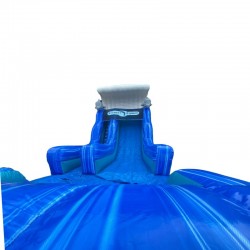 Achat Toboggan Gonflable Dauphin
