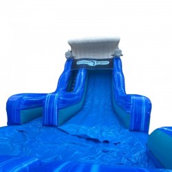 Achat Toboggan Gonflable Dauphin