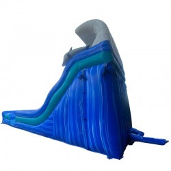 Achat Toboggan Gonflable Dauphin
