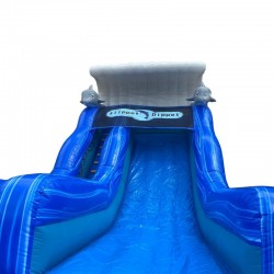 Achat Toboggan Gonflable Dauphin