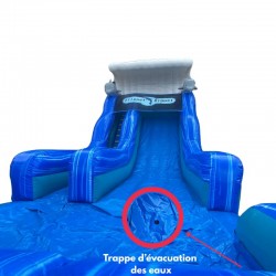 Achat Toboggan Gonflable Dauphin
