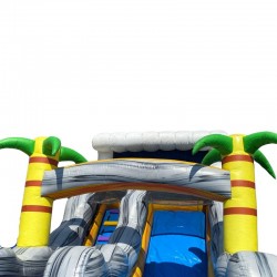 Toboggan Aquatique Gonflable Occasion Tropical Wave
