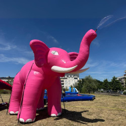 Location Brumisateur Extérieur Elephant Rose