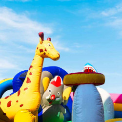 Achat aire de Jeux Gonflable Parc des Animaux