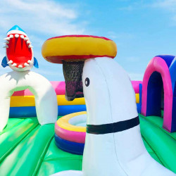 Achat aire de Jeux Gonflable Parc des Animaux occasion