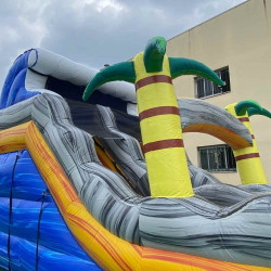 Achat Toboggan Aquatique Gonflable Tropical Wave
