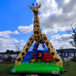Location Château Girafe