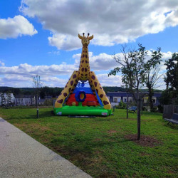 Location Château Girafe..