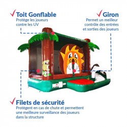 Achat Château Gonflable Savant Occasion : qualité professionnelle