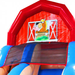 Toboggan Gonflable Occasion Ferme Pédagogique