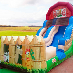 Toboggan Gonflable Occasion Ferme Pédagogique