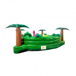 Achat Île aux Dragons