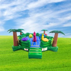 Achat Île aux Dragons