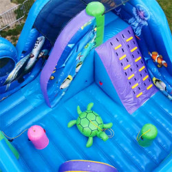 Achat Aire de Jeux Gonflable Waterland Occasion (version terrestre)