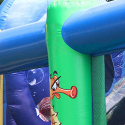 Achat Aire de Jeux Gonflable Waterland Occasion (version terrestre)