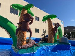 Circuit Aquatique pour Petits Bateaux
