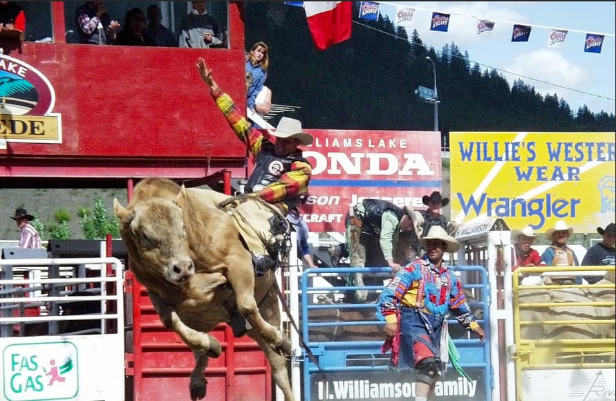 Bull Riding : le sport favori des cowboys